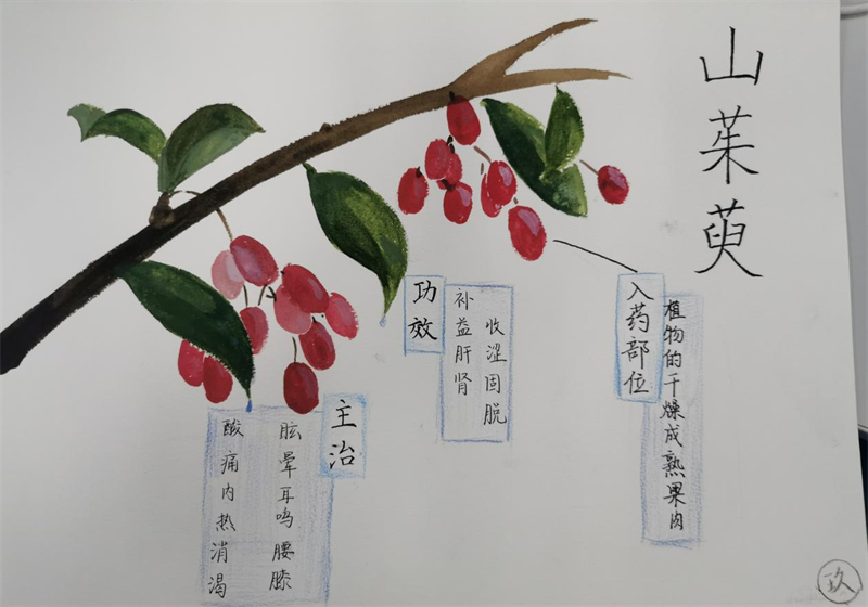 图片7.png
