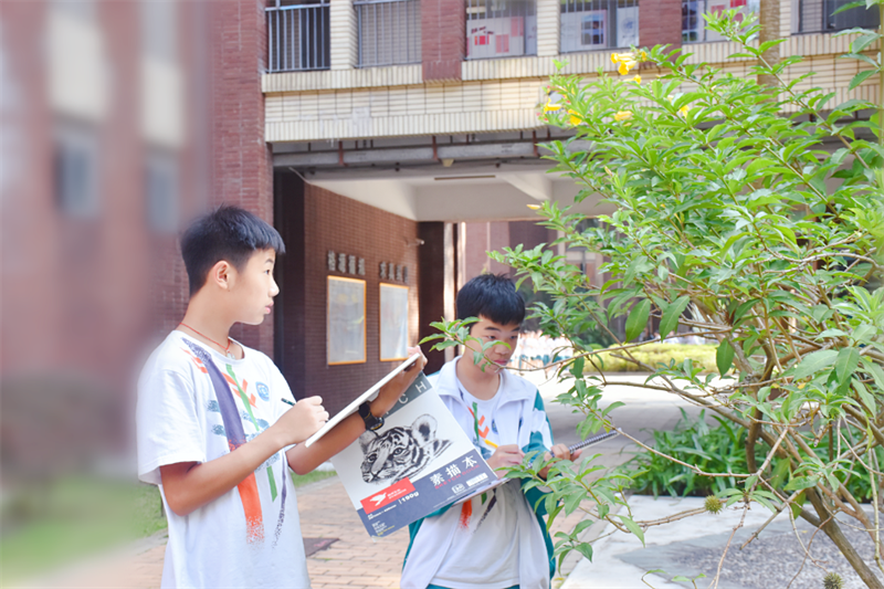 图片7.png
